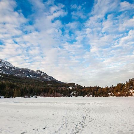 Newly Renovated Whistler Studio المظهر الخارجي الصورة